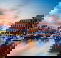 Hobart City and Surroundings Private Charter Service - Pet Food Australia