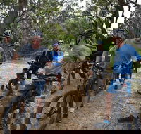 Fully guided E-Mountain Bike Tour on the beautiful Mornington Peninsula. - Food Delivery Shop
