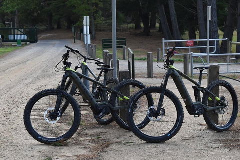 Fully Guided E-Mountain Bike Tour On The Beautiful Mornington Peninsula. - Pet Food Australia 2