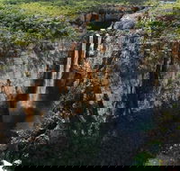 7 Days Darwin Kakadu National Park Katherine Gorge Touring Package - Pet Food Australia