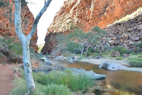 Alice Springs, Uluru Ayers Rock & Kings Canyon 8 Days Touring Package - Food Delivery Shop 2