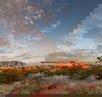 Uluru Kata Tjuta and Kings Canyon Camping Safari from Alice Springs - Pet Food Australia