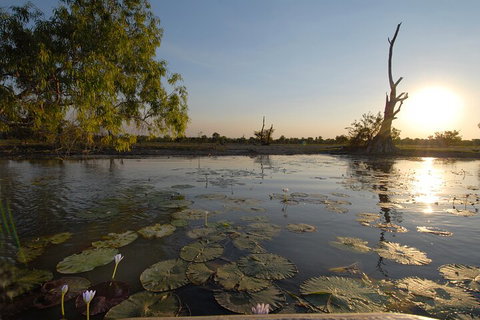 Top End Waterfalls And Wetlands - Food Delivery Shop 4