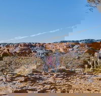 The Amazing Kings Canyon 4-Hours Walking Tour and Hike - Food Delivery Shop