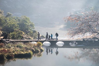 3.5 Hours Walking Tour to Cataract Gorge with Local Guide
