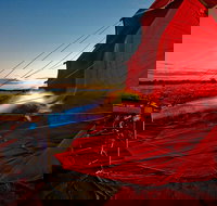 Early Morning Ballooning in Alice Springs - Pet Food Australia