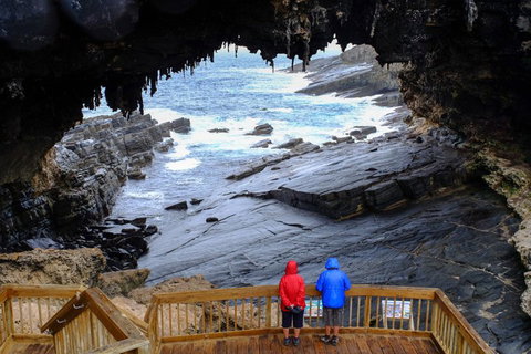 2-Day Kangaroo Island Safari From Adelaide - Food Delivery Shop 5