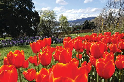 Hobart City Sightseeing Tour Including MONA Admission - Food Delivery Shop 4