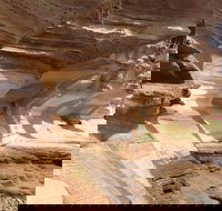 Hobart Minibus Full-Day Private Tour - Pet Food Australia