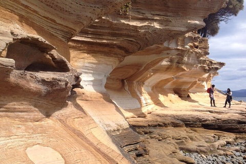 Hobart Minibus Full-Day Private Tour - Food Delivery Shop 0