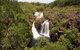 5 Day Kakadu National Park And Arnhem Land Tour - thumb 3
