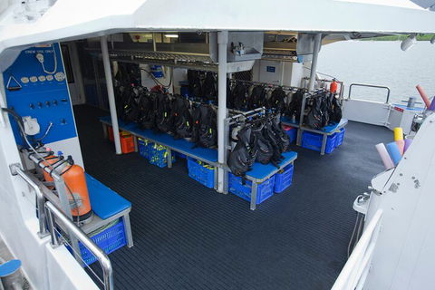 Silverswift Outer Great Barrier Reef Dive And Snorkel Cruise From Cairns - Food Delivery Shop 0