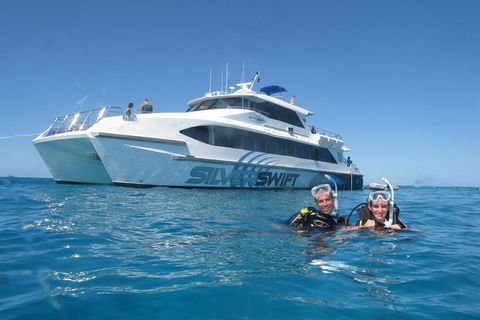 Silverswift Outer Great Barrier Reef Dive And Snorkel Cruise From Cairns - Food Delivery Shop 4