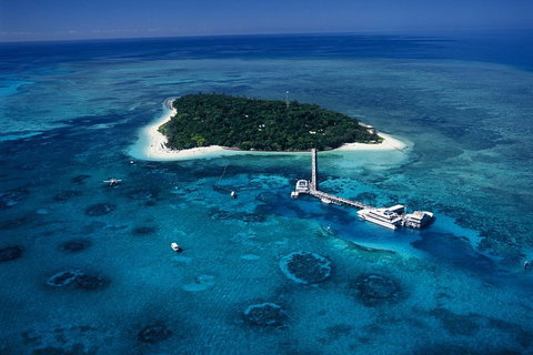 Green Island Day Trip Including Seawalker Helmet Dive COMBO - Food Delivery Shop 5