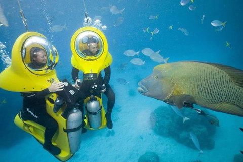 Great Barrier Reef Adventure From Cairns - Pet Food Australia 2