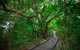 Green Island Eco Adventure From Cairns - thumb 0