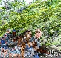 Cape Tribulation Mossman Gorge and Daintree Rainforest Day Trip from Cairns or Port Douglas - Food Delivery Shop