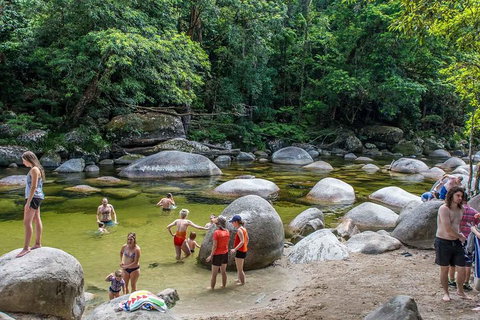 Cape Tribulation, Mossman Gorge, And Daintree Rainforest Day Trip From Cairns Or Port Douglas - Food Delivery Shop 1