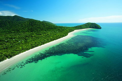 Cape Tribulation, Mossman Gorge, And Daintree Rainforest Day Trip From Cairns Or Port Douglas - Food Delivery Shop 2
