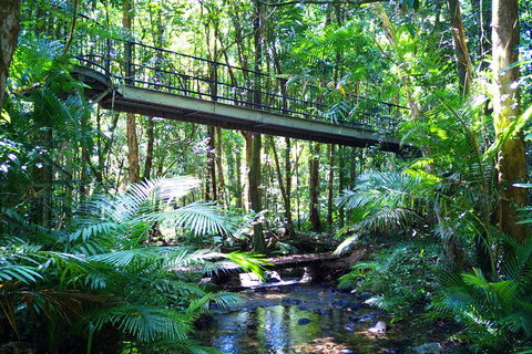 Cape Tribulation, Mossman Gorge, And Daintree Rainforest Day Trip From Cairns Or Port Douglas - Food Delivery Shop 3