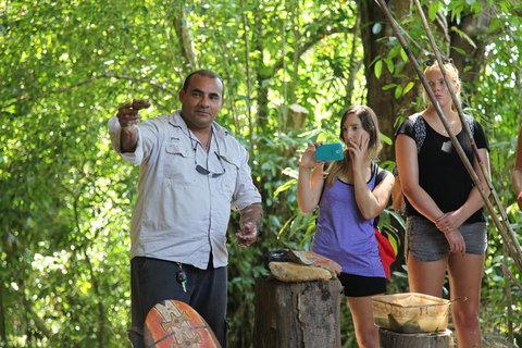Cape Tribulation, Mossman Gorge, And Daintree Rainforest Day Trip From Cairns Or Port Douglas - Food Delivery Shop 4