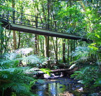 Double Pack-Ancient Rainforest and Waterfalls - Food Delivery Shop