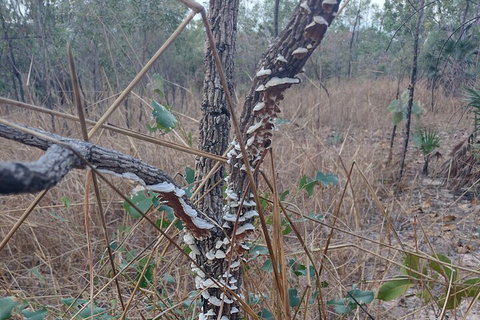 One Day Litchfield Park Adventures - Food Delivery Shop 3