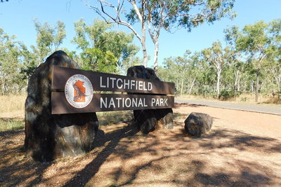 Litchfield Park Adventures and Jumping Crocodile Cruise  Butterfly Farm
