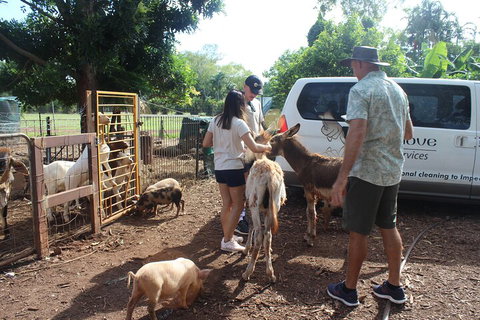 Jumping Crocodile Cruise And Berry Springs Nature Park - Food Delivery Shop 4