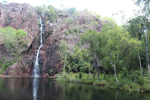 Jumping Crocodile Cruise And Berry Springs Nature Park - Food Delivery Shop 5