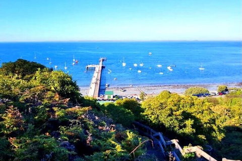 Mornington Peninsula Sightseeing Tour For 2-6 Guests. - Pet Food Australia 1