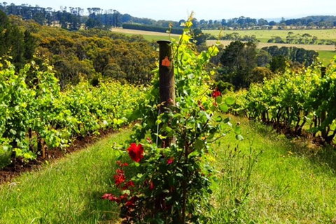 Mornington Peninsula Sightseeing Tour For 2-6 Guests. - Pet Food Australia 3