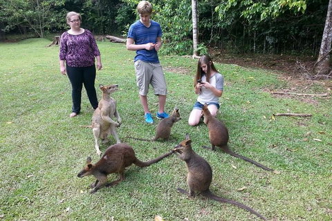 Small Group Blue Mountains Day Tour From Sydney - Food Delivery Shop 2