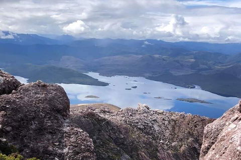 Tamar Valley Food And Wine Day Trip From Devonport, Ulverstone Or Burnie - Pet Food Australia 3