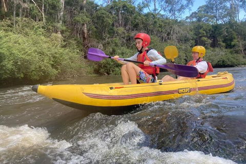 Yarra River Half-Day Rafting Experience - Pet Food Australia 1