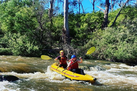 Yarra River Half-Day Rafting Experience - Pet Food Australia 2