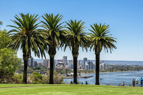 Wonderful Perth Self-Guided Audio Tour - Food Delivery Shop 1