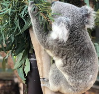 Private Blue Mountains and Wildlife Park Tour from Sydney with Barbecue Lunch - Food Delivery Shop