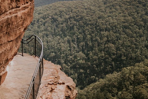 Private Blue Mountains And Wildlife Park Tour From Sydney With Barbecue Lunch - Food Delivery Shop 5
