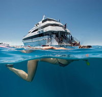 3 Day Great Barrier Reef Daintree Rainforest and Outback Chillagoe Tour - Food Delivery Shop