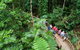 3 Day Great Barrier Reef, Daintree Rainforest And Outback Chillagoe Tour - thumb 2