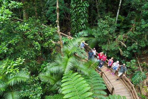 3 Day Great Barrier Reef, Daintree Rainforest And Outback Chillagoe Tour - Food Delivery Shop 2