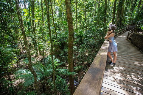 3 Day Great Barrier Reef, Daintree Rainforest And Outback Chillagoe Tour - Food Delivery Shop 3