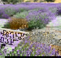 Kangaroo Island Food and Wine Trail Tour - Food Delivery Shop