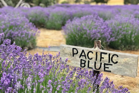 Kangaroo Island Food And Wine Trail Tour - Pet Food Australia 0