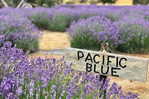 Kangaroo Island Food And Wine Hop-on Hop-off Tour - Pet Food Australia 4