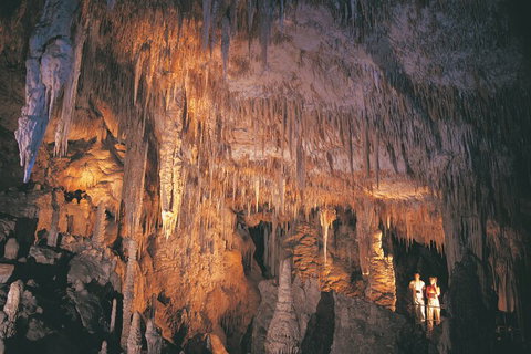 2-Day Margaret River Wine Experience From Perth - Food Delivery Shop 2