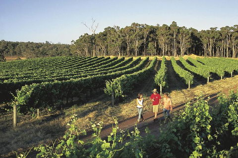 Margaret River, Caves, Wine And Cape Leeuwin Lighthouse Tour From Perth - Food Delivery Shop 1
