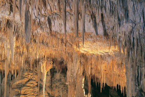 Margaret River, Caves, Wine And Cape Leeuwin Lighthouse Tour From Perth - Food Delivery Shop 3