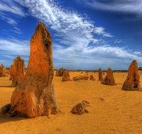 Pinnacles Desert  New Norcia Day Tour from Perth - Food Delivery Shop